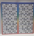 Bingo-oplegkaart-12-up-full-colour-kunststof